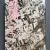 A fake reportage - Nobuyoshi Araki - Cover