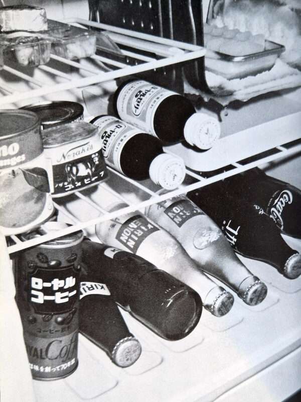 My love & Sex Nobuyoshi Araki 22