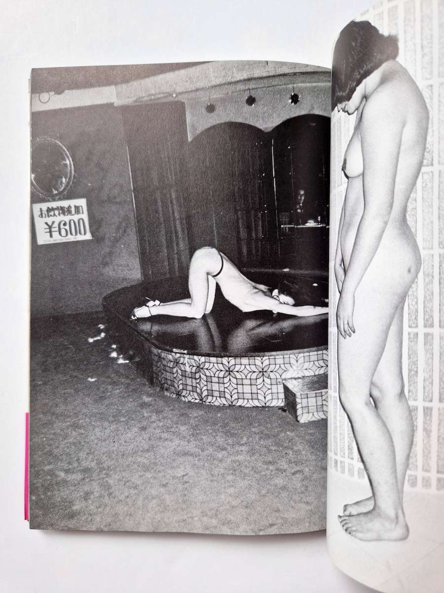 My love & sex Nobuyoshi Araki white p3 My love & sex Nobuyoshi Araki white p3