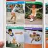 Sport notes skate board white 26