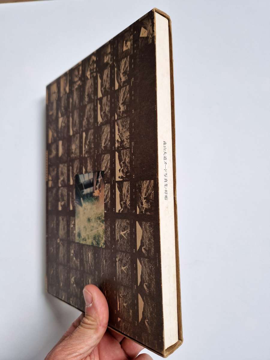 Kagero mayfly daido moriyama white bind 2