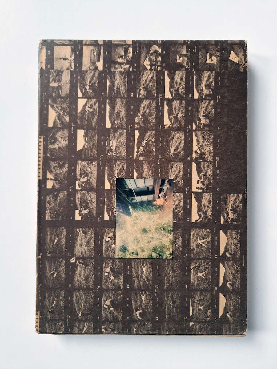 Kagero mayfly daido moriyama white cover