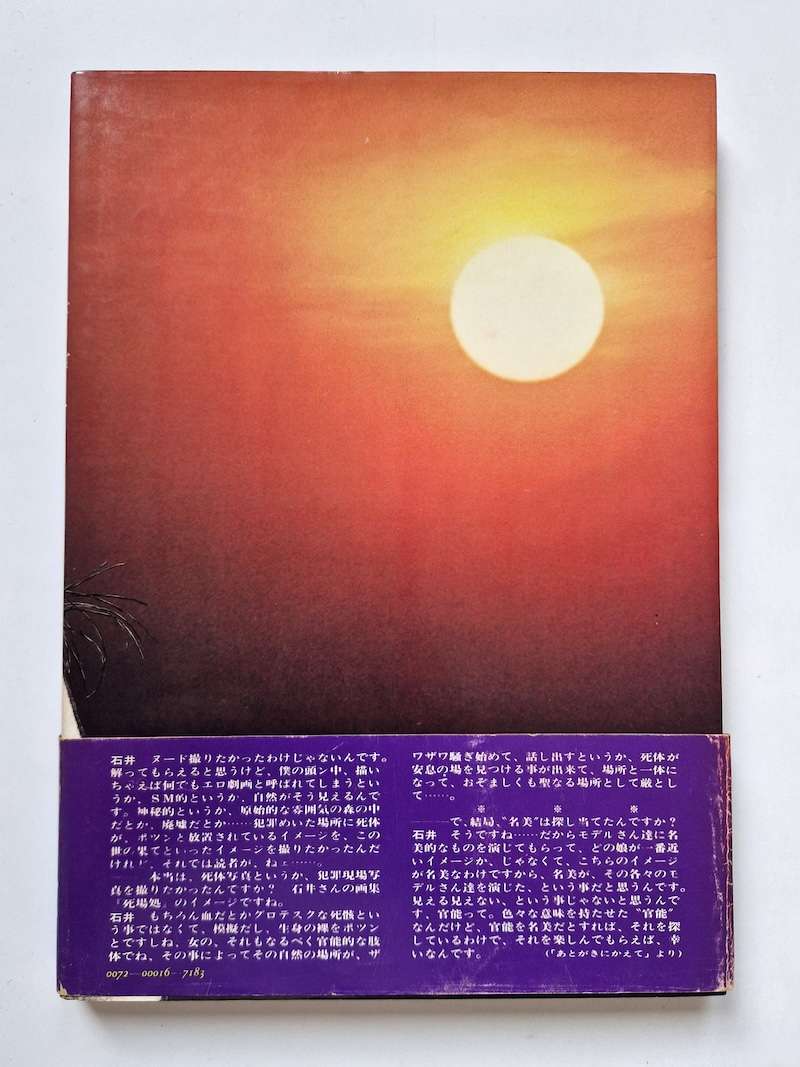 Searching for Nami Takashi Ishii New 22