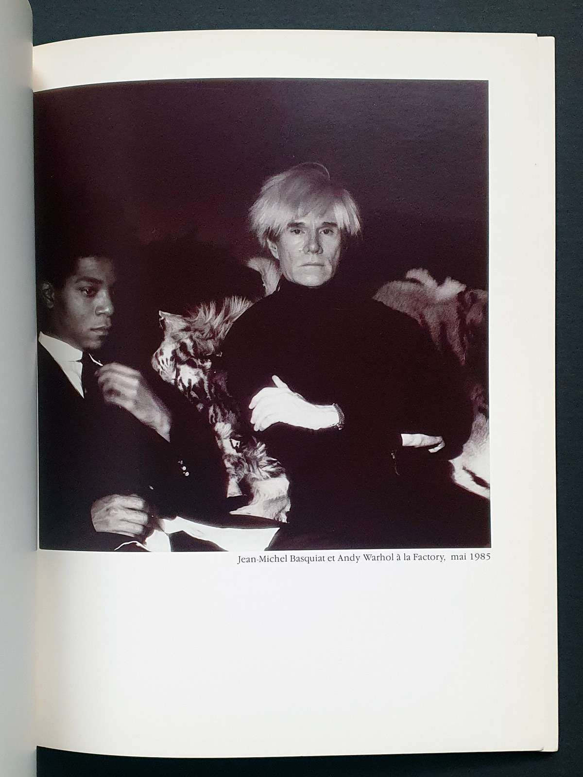 Basquiat - Wharol -Didier Imbert fine art -catalog - P1 Basquiat - Wharol -Didier Imbert fine art -catalog - P1