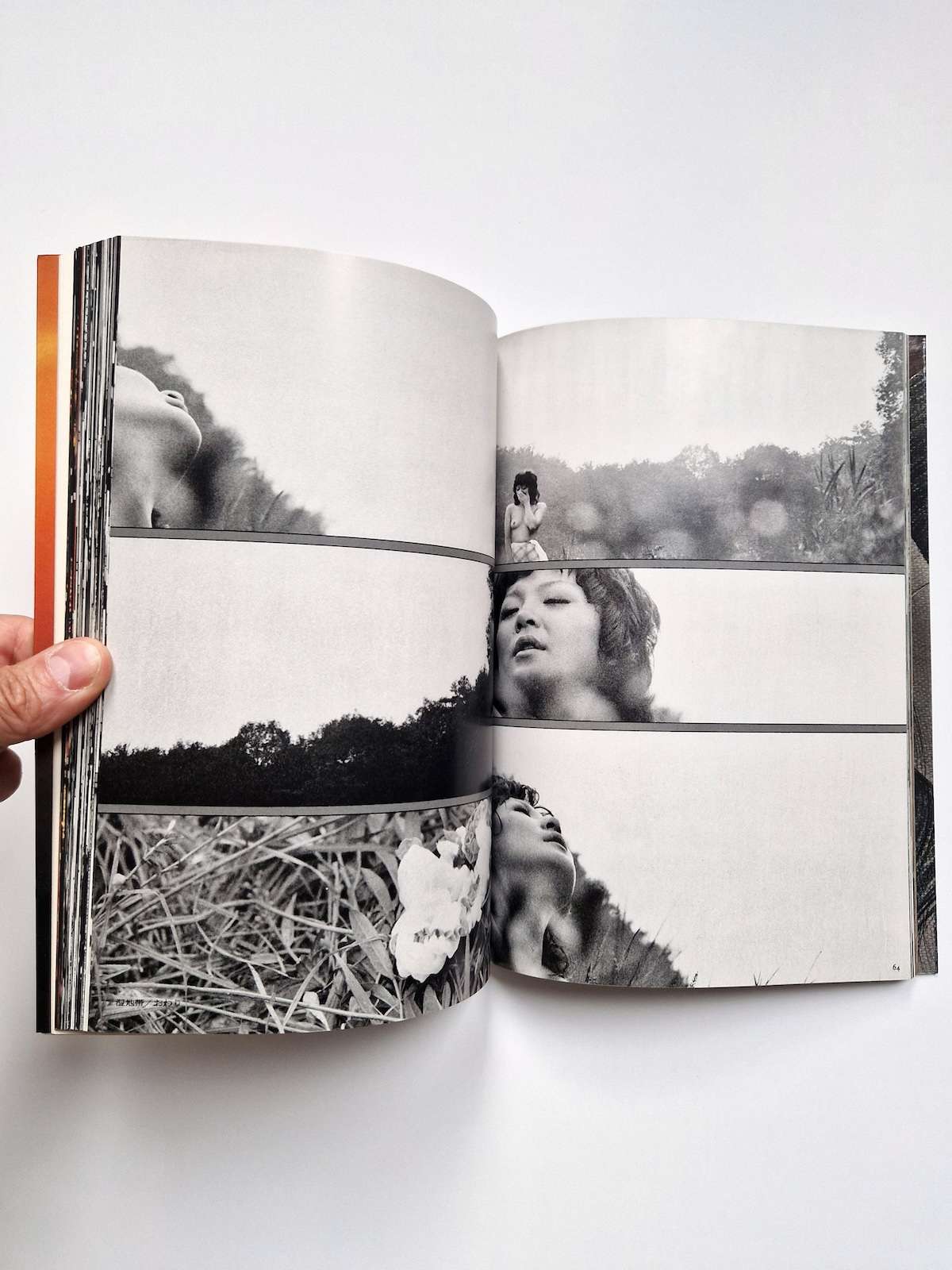 Searching for Nami Takashi Ishii New 16 Searching for Nami Takashi Ishii New 16