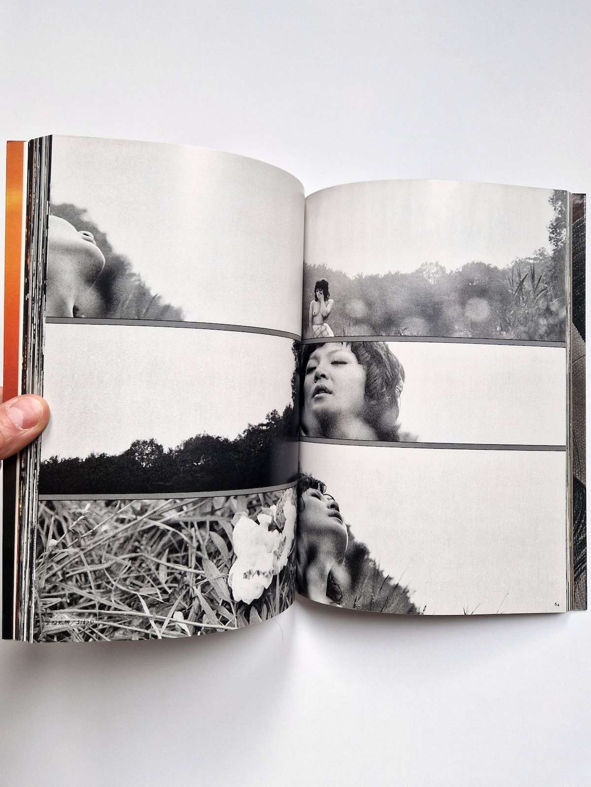 Searching for Nami Takashi Ishii New 4 Searching for Nami Takashi Ishii New 4