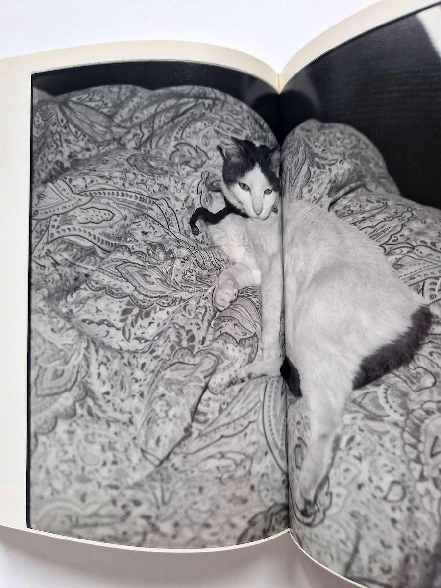 Shashin Shijo Shugi white 13