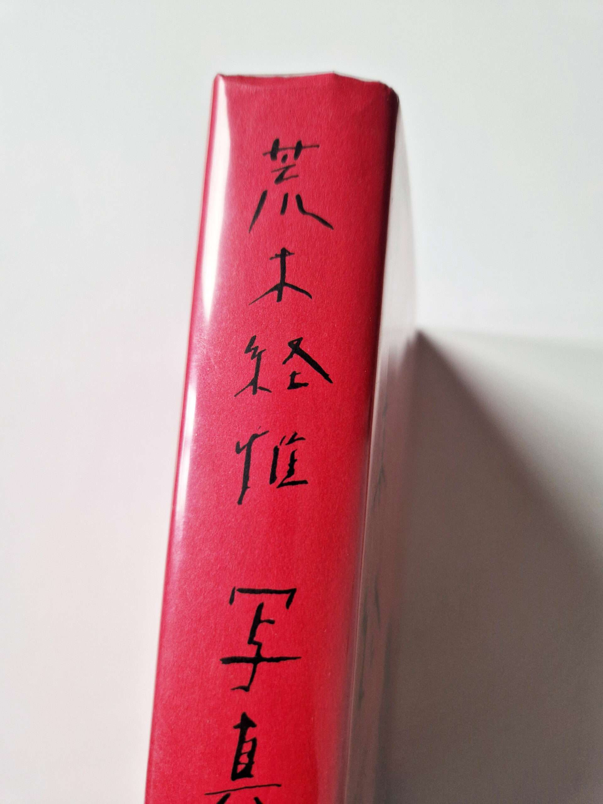 Shashin Shijo Shugi white 4