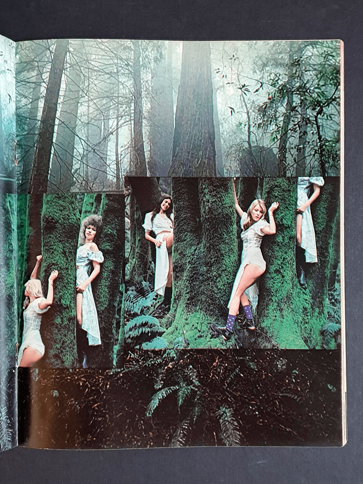 California Love - Yoshihiro Tatsuki P10 California Love - Yoshihiro Tatsuki P10