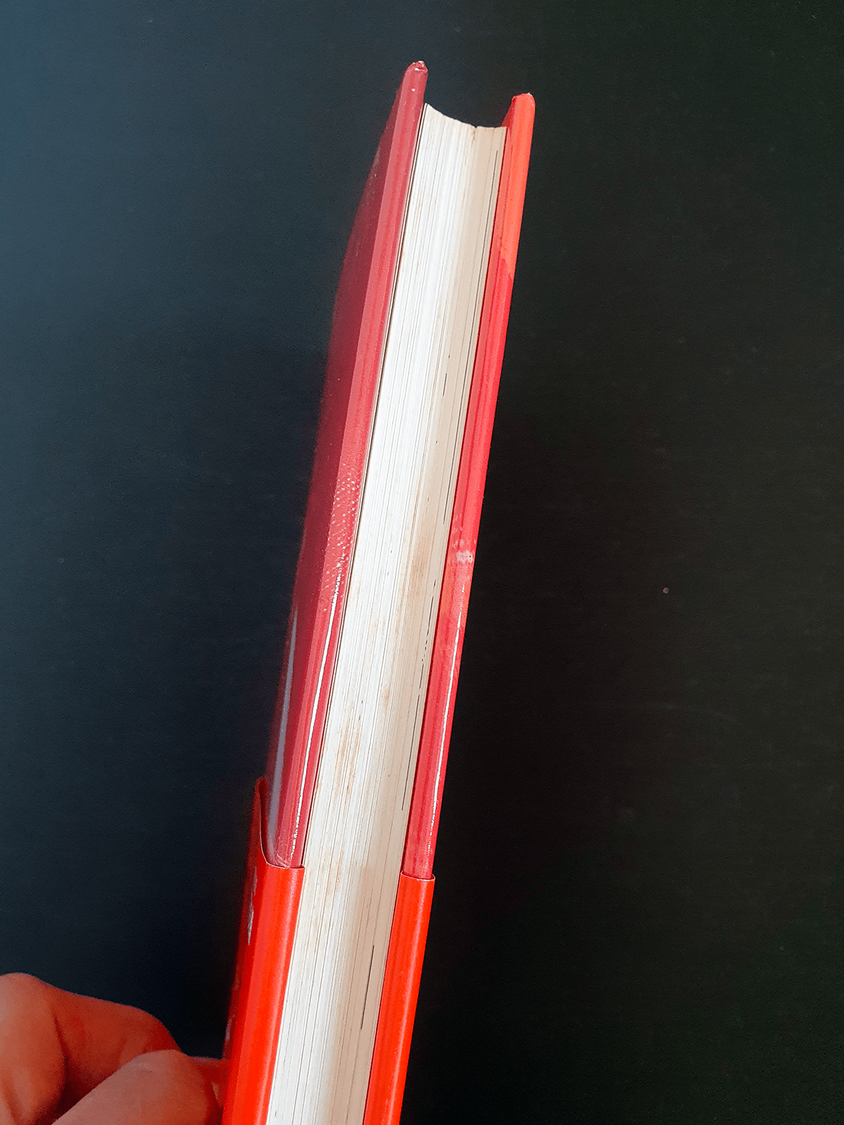 Fornicon-Tomi Ungerer- Ryosuke Banda-1999-detail Fornicon-Tomi Ungerer- Ryosuke Banda-1999-detail