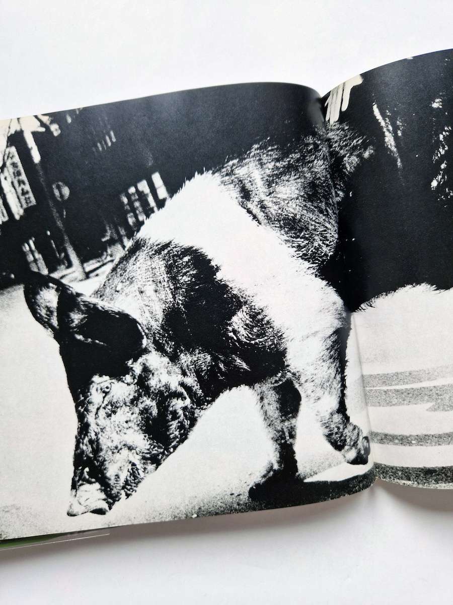 Japan a photo theater II Daido Moriyama 15