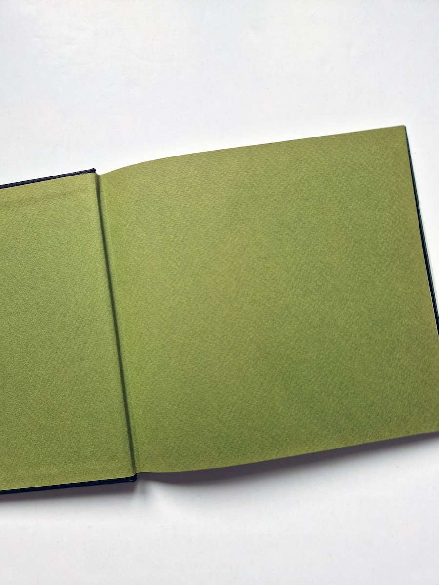 Japan a photo theater II Daido Moriyama 5