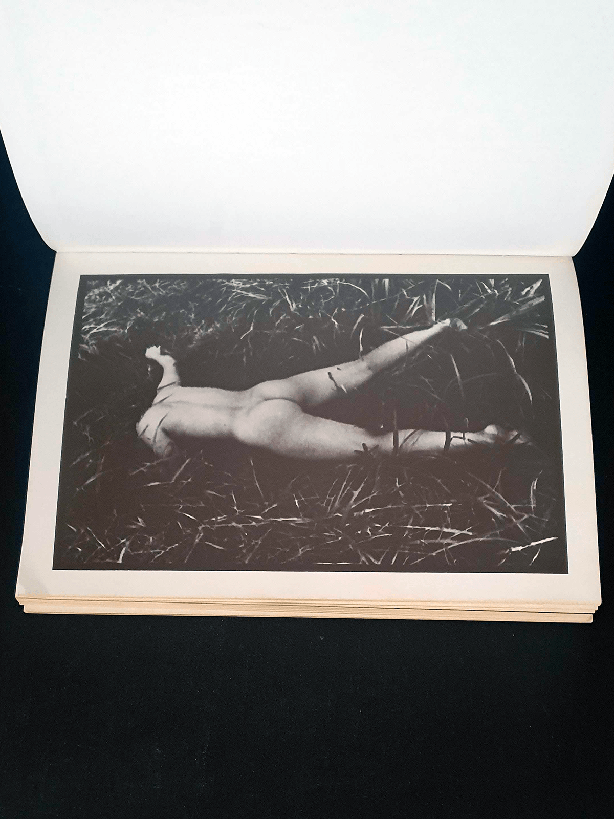 Kagero (Mayfly) - Daido Moriyama - p6