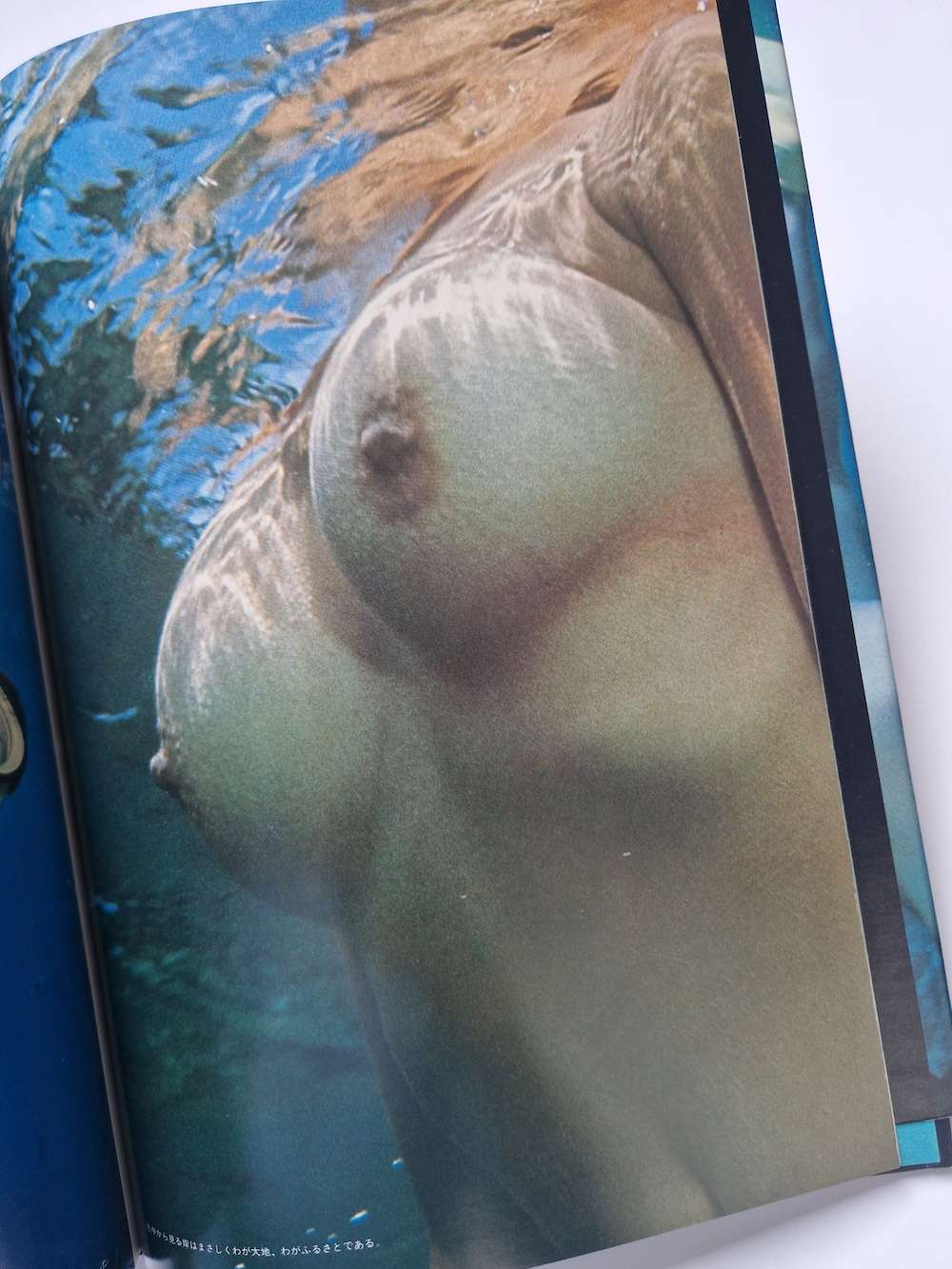 Olivia of the sea Akira Tateishi white 11