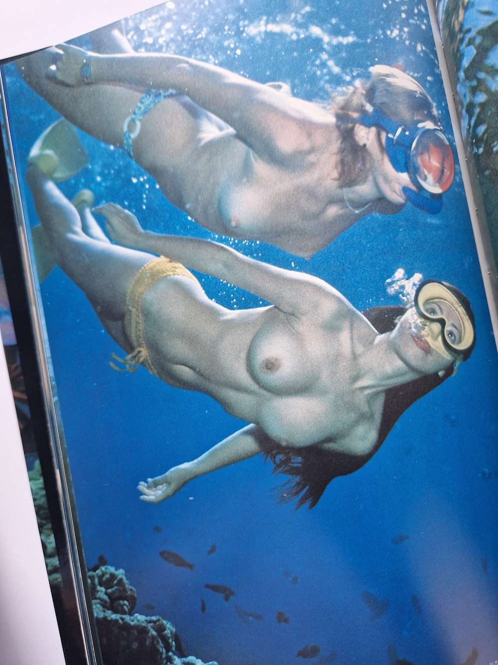 Olivia of the sea Akira Tateishi white 12