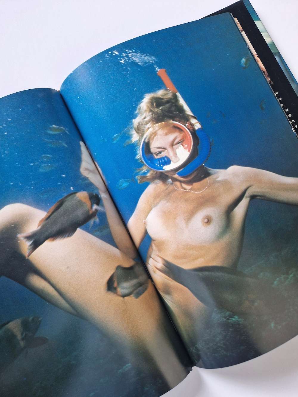 Olivia of the sea Akira Tateishi white 4