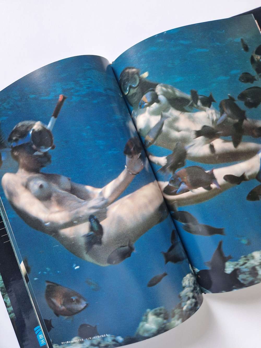 Olivia of the sea Akira Tateishi white 5