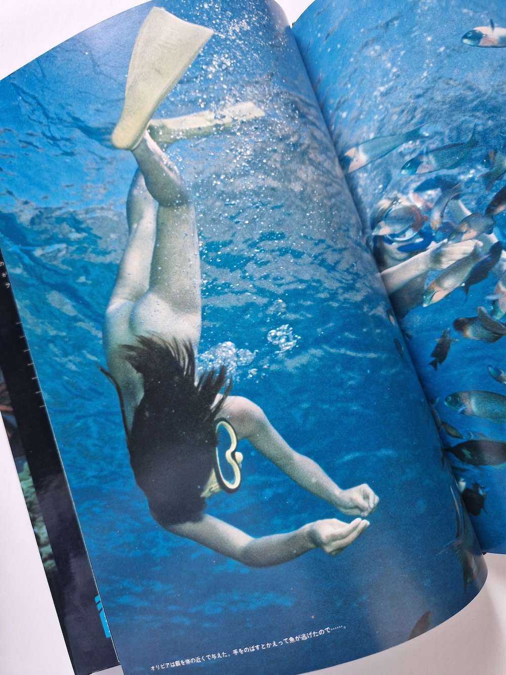 Olivia of the sea Akira Tateishi white 6