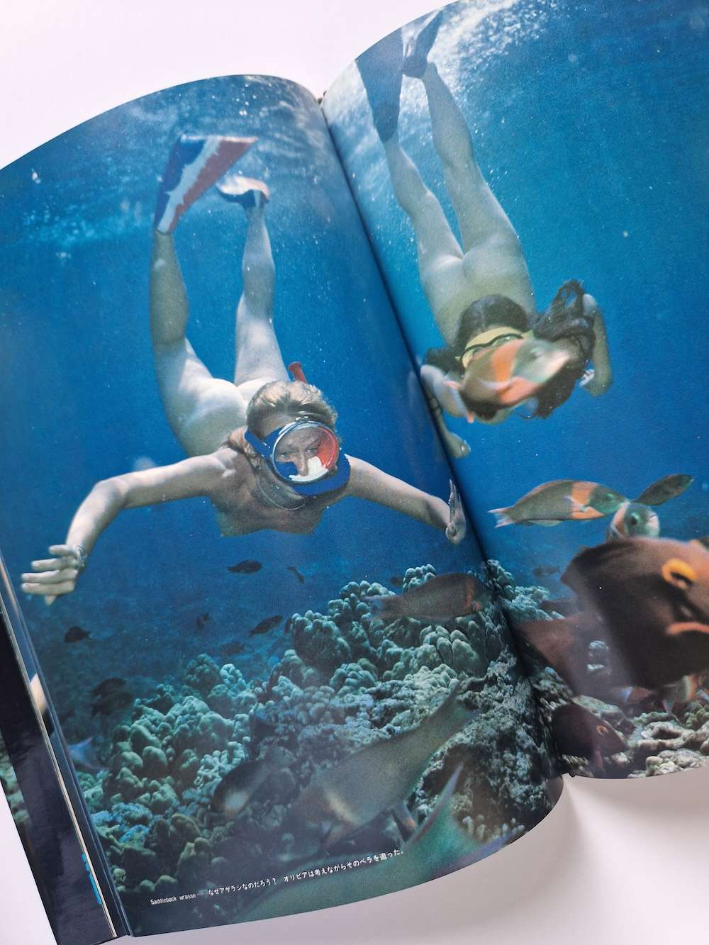 Olivia of the sea Akira Tateishi white 7