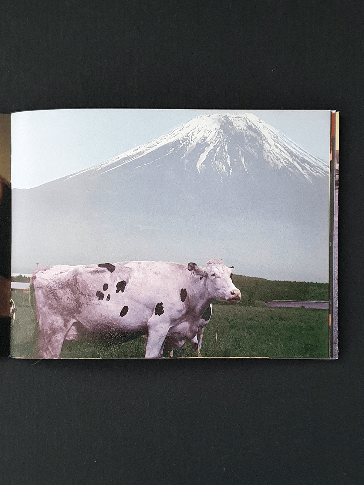 Badafoto daisuke ichiba p7 Badafoto daisuke ichiba p7