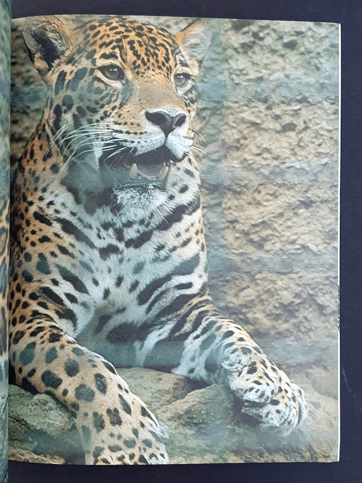 Heaven 5 Heikichi Harata p13 Heaven 5 Heikichi Harata p13