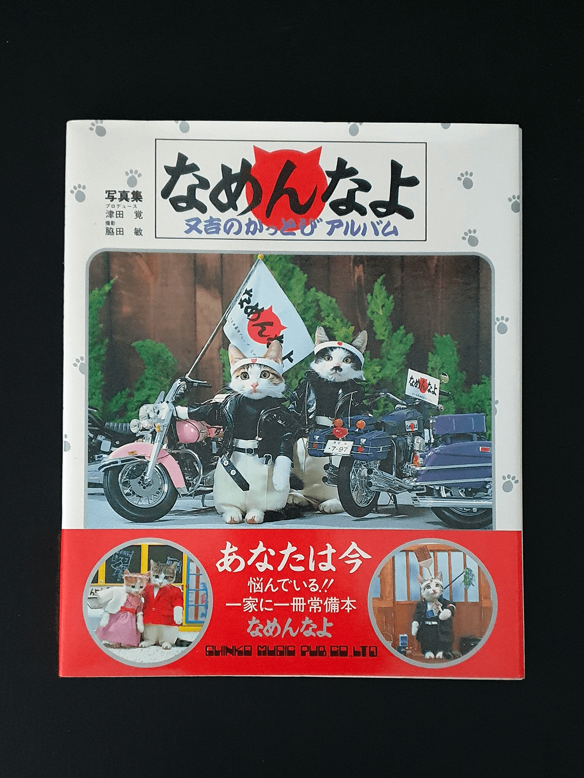 Nameneko - I am sorry - cover Nameneko - I am sorry - cover