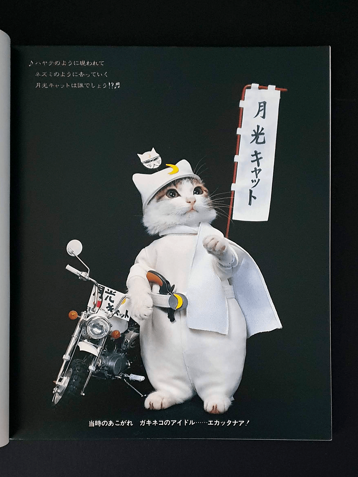 Nameneko - I am sorry - p10 Nameneko - I am sorry - p10