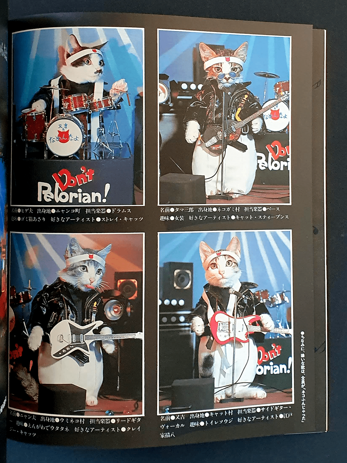 Nameneko - I am sorry - p3 Nameneko - I am sorry - p3