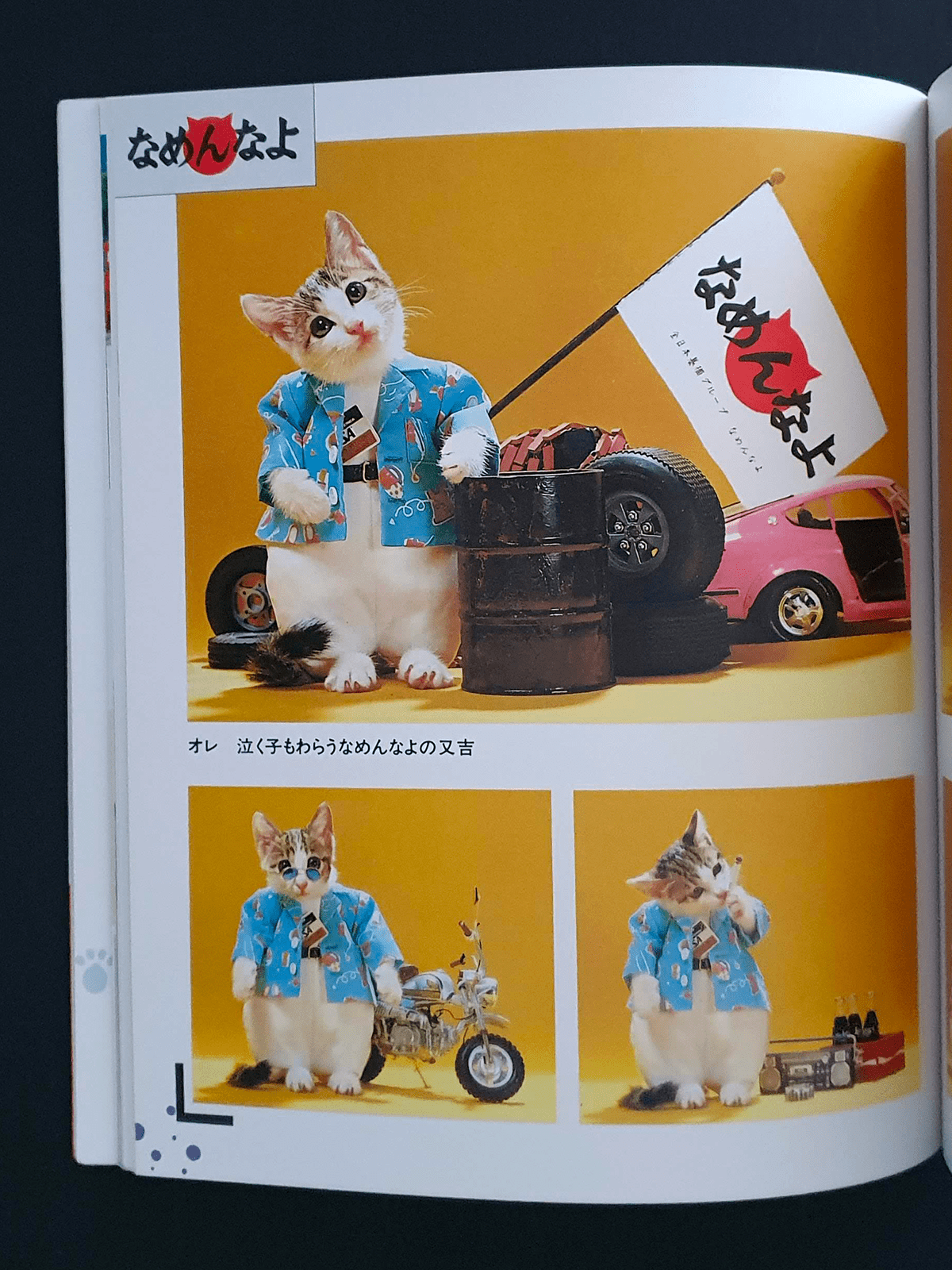 Nameneko - I am sorry - p7 Nameneko - I am sorry - p7