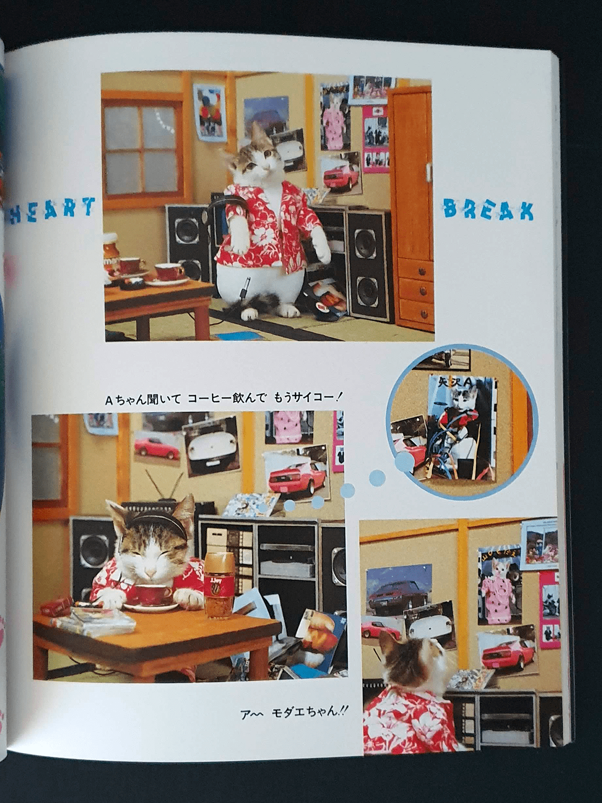 Nameneko - I am sorry - p8 Nameneko - I am sorry - p8