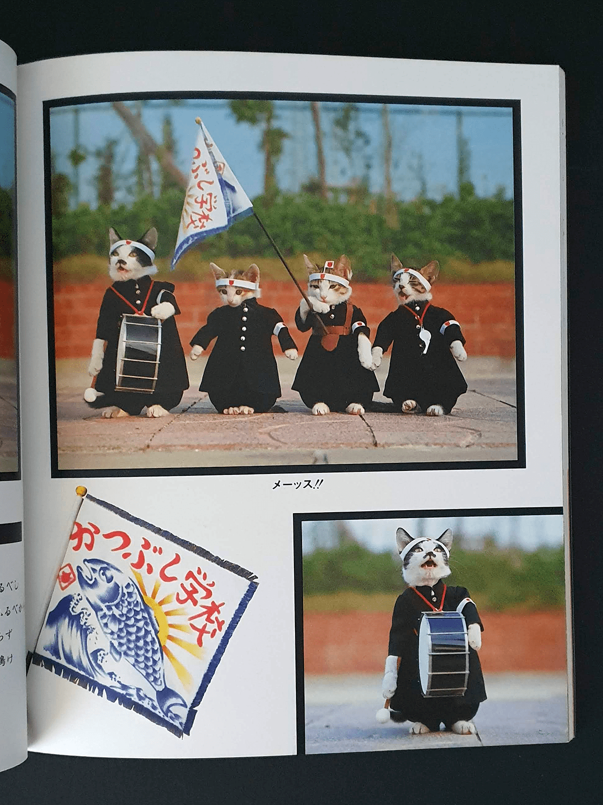 Nameneko - I am sorry - p9 Nameneko - I am sorry - p9