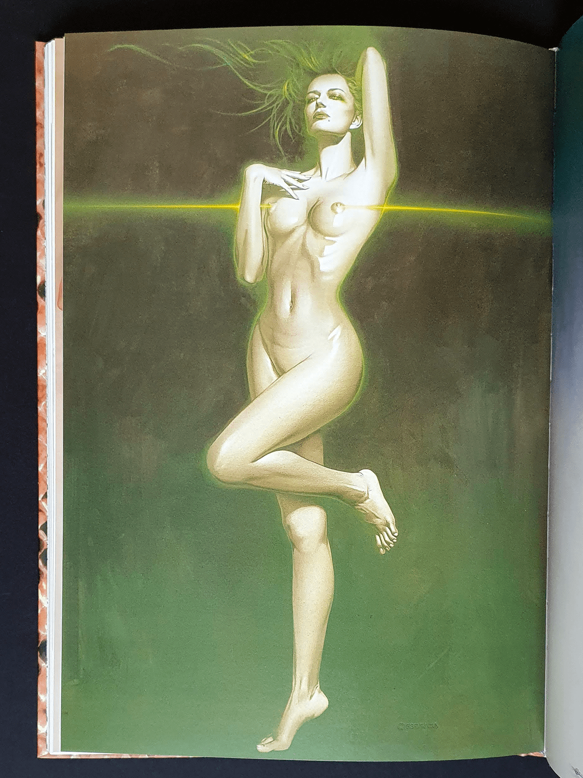 Venin - Hajime Sorayama p2 Venin - Hajime Sorayama p2