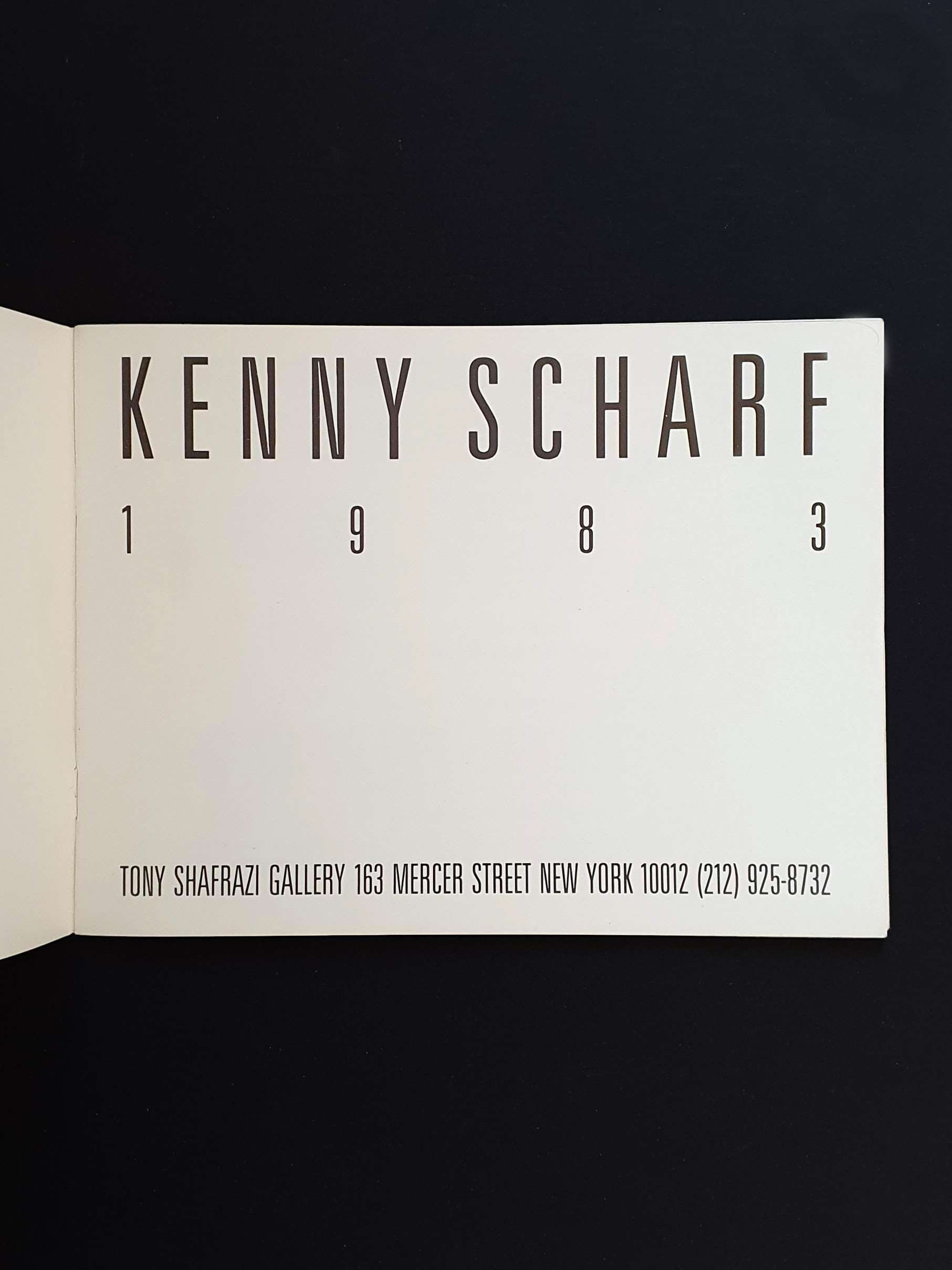 Kenny Scharf - 1983 Shafrazi catalog p10