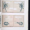 Prints Books Things - Kiki Smith p9