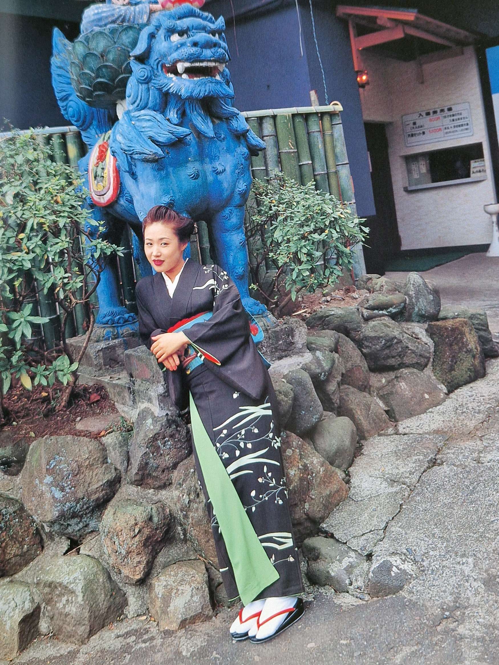 Fake Love Nude Yuko Ishiwa Nobuyoshi Araki 17