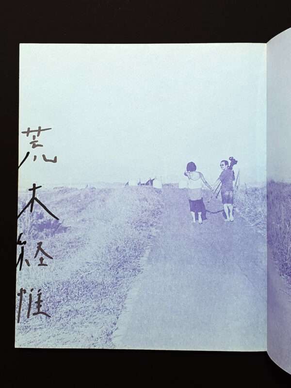 Gekisha Joyu Tachi [Signed] — Nobuyoshi Araki2