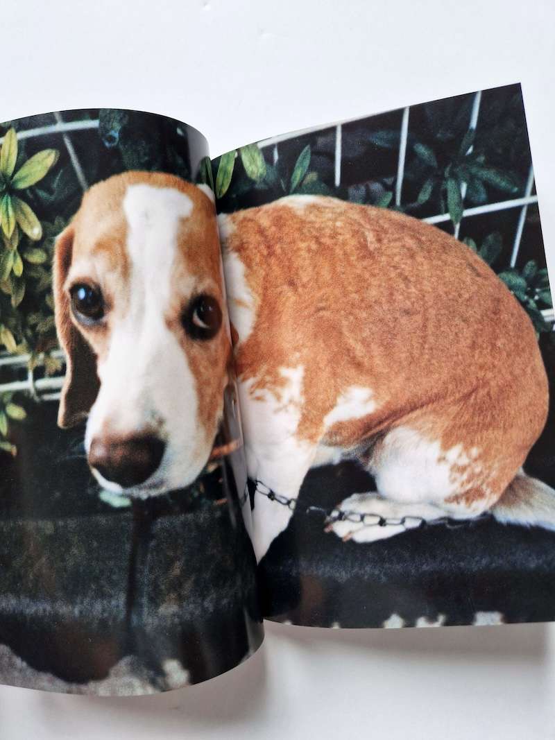 Girl Blue hiromix restock 16 Girl Blue hiromix restock 16