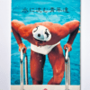 Summer Dolphin Young men in the water Keiichi Inamine white cover