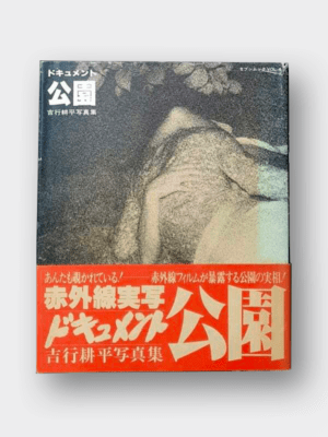 10041