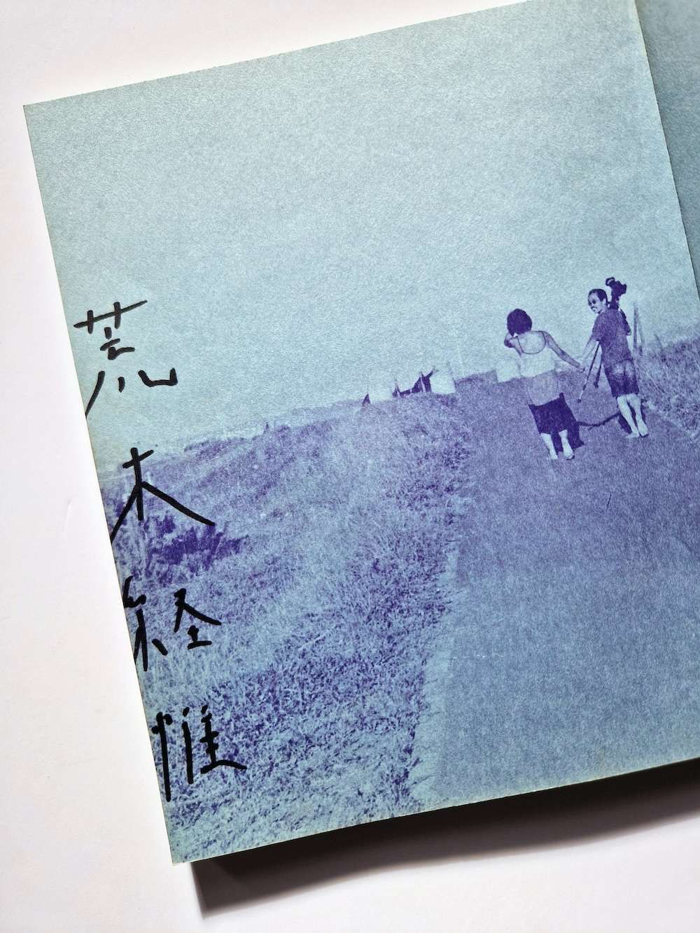 ekisha joyu tachi signed nobuyoshi araki white 15