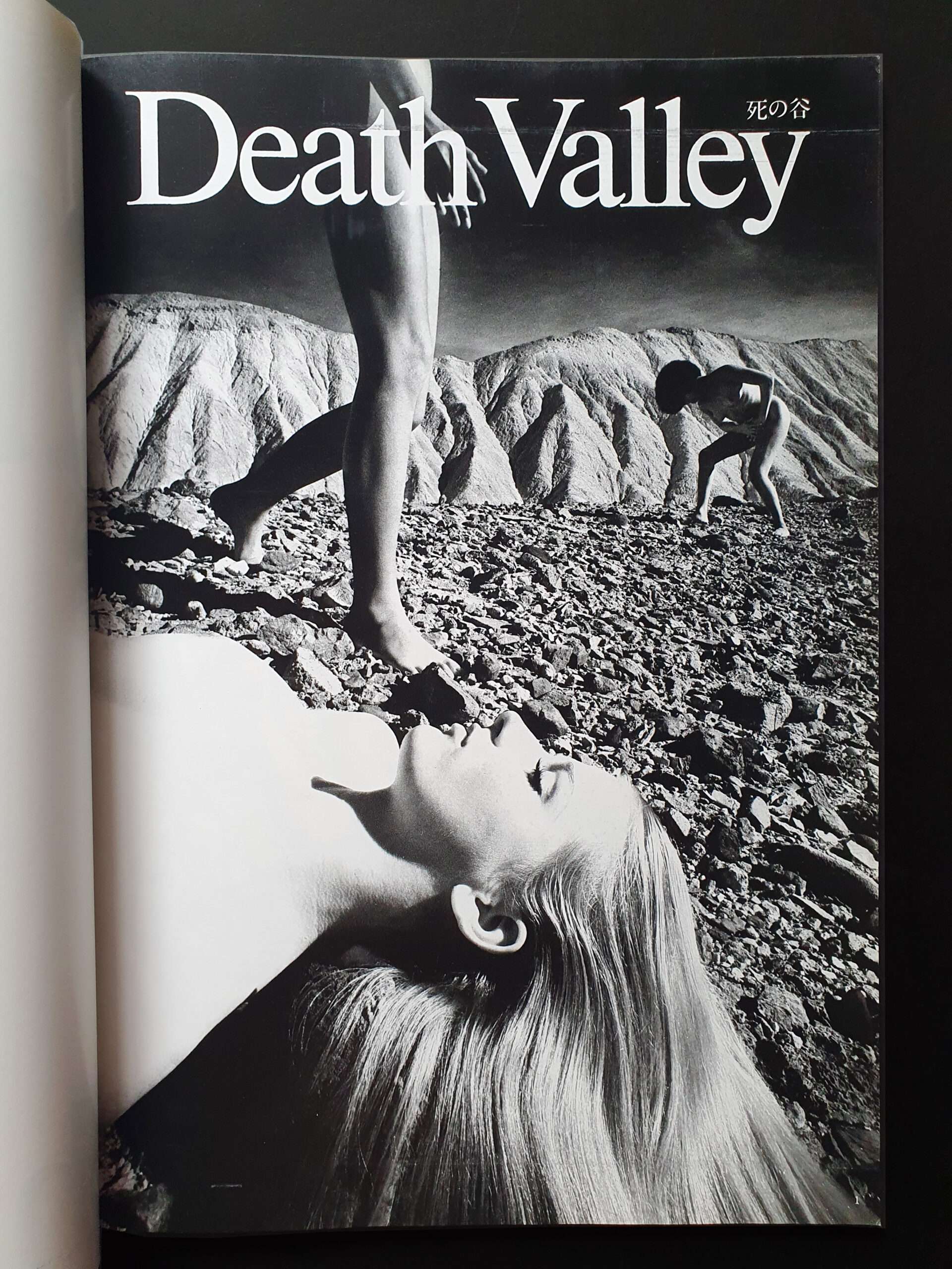 Nude Portfolio- Kishin Shinoyama14