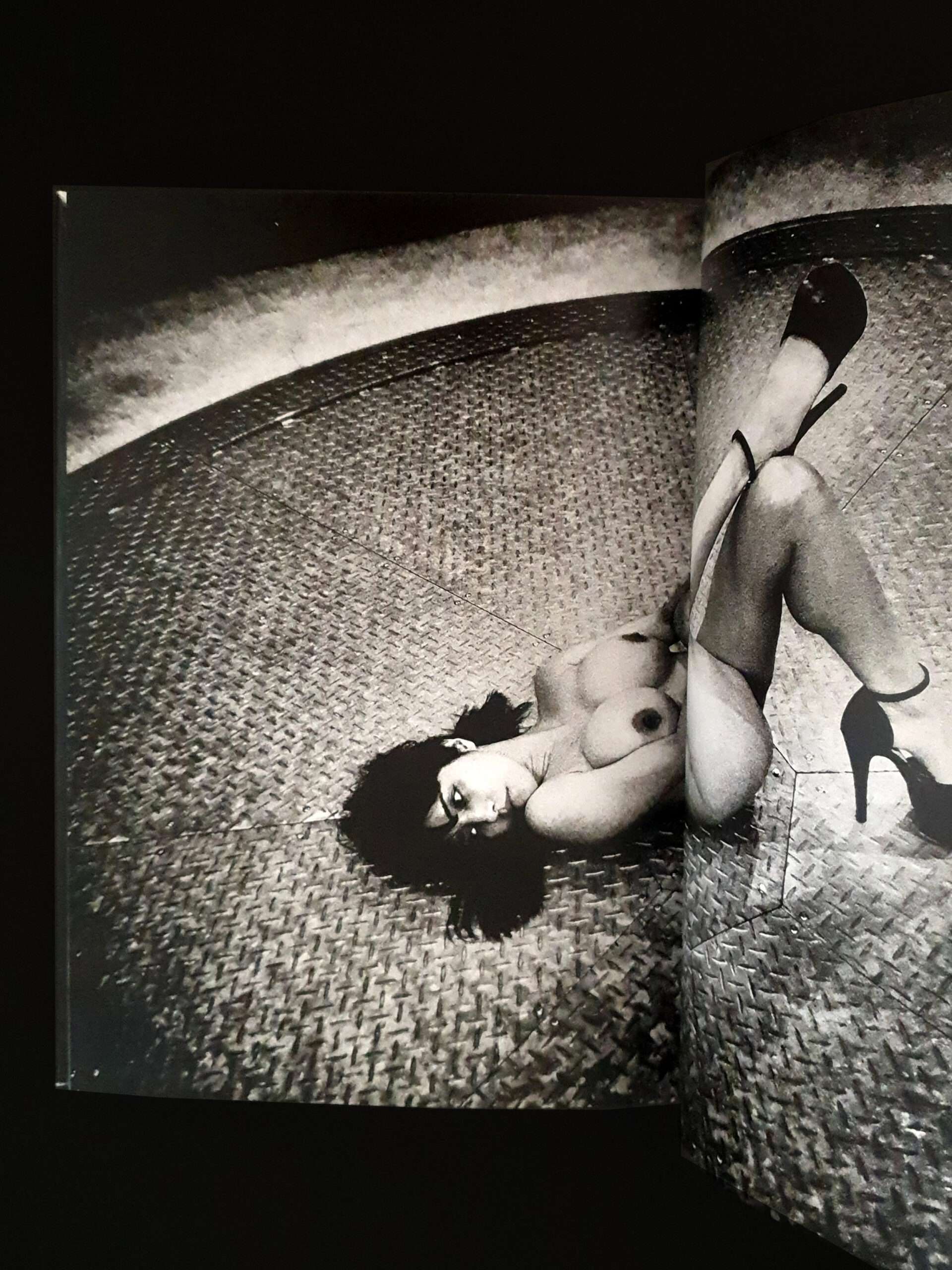 Orizuru - Daido Moriyama14 Orizuru - Daido Moriyama14