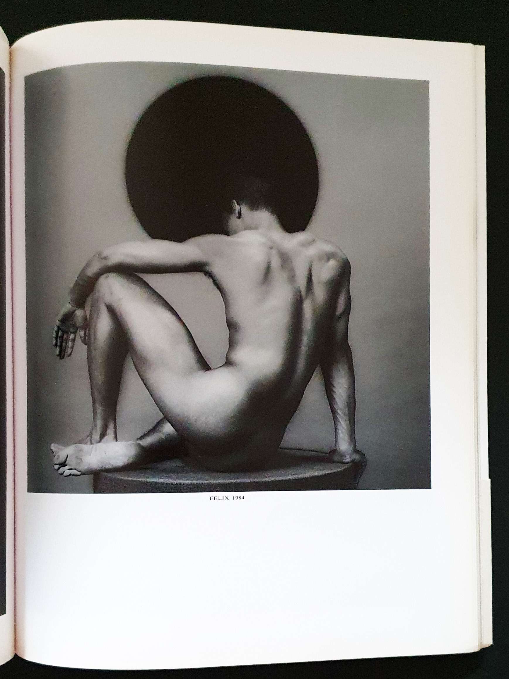 Robert Maplethorpe - Parco publishing13