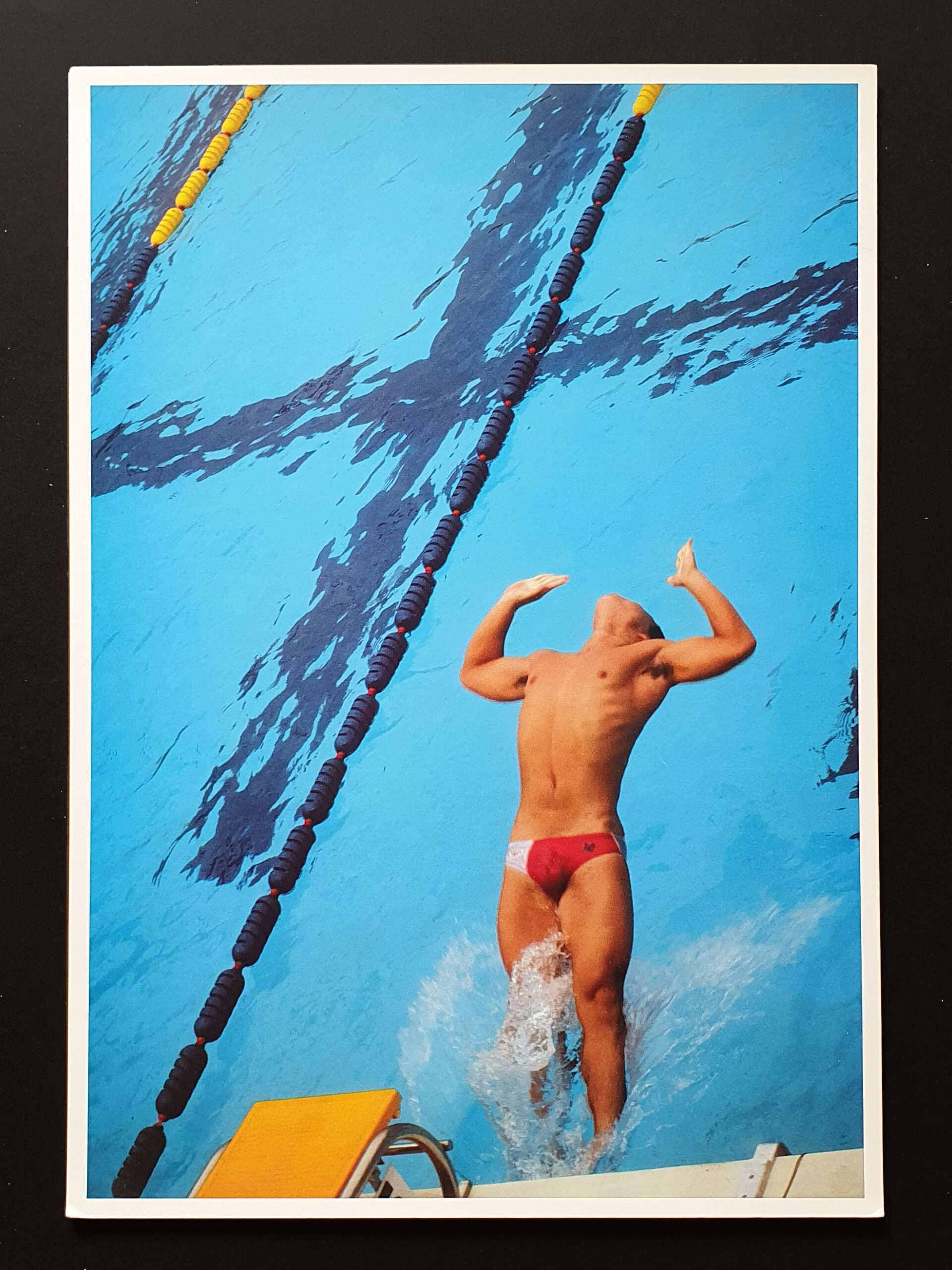 Summer Dolphin - Keiichi Inamine10