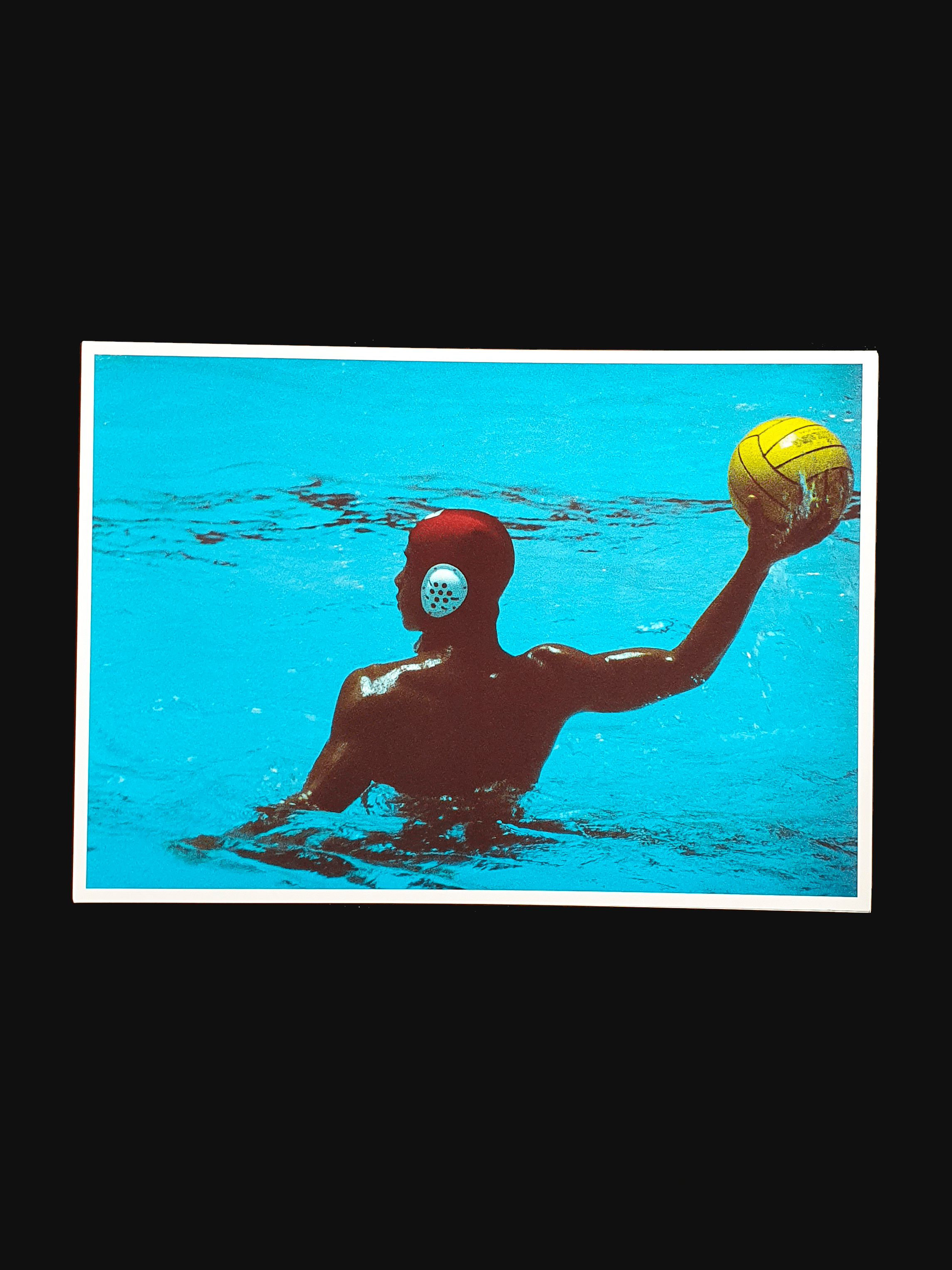 Summer Dolphin - Keiichi Inamine14