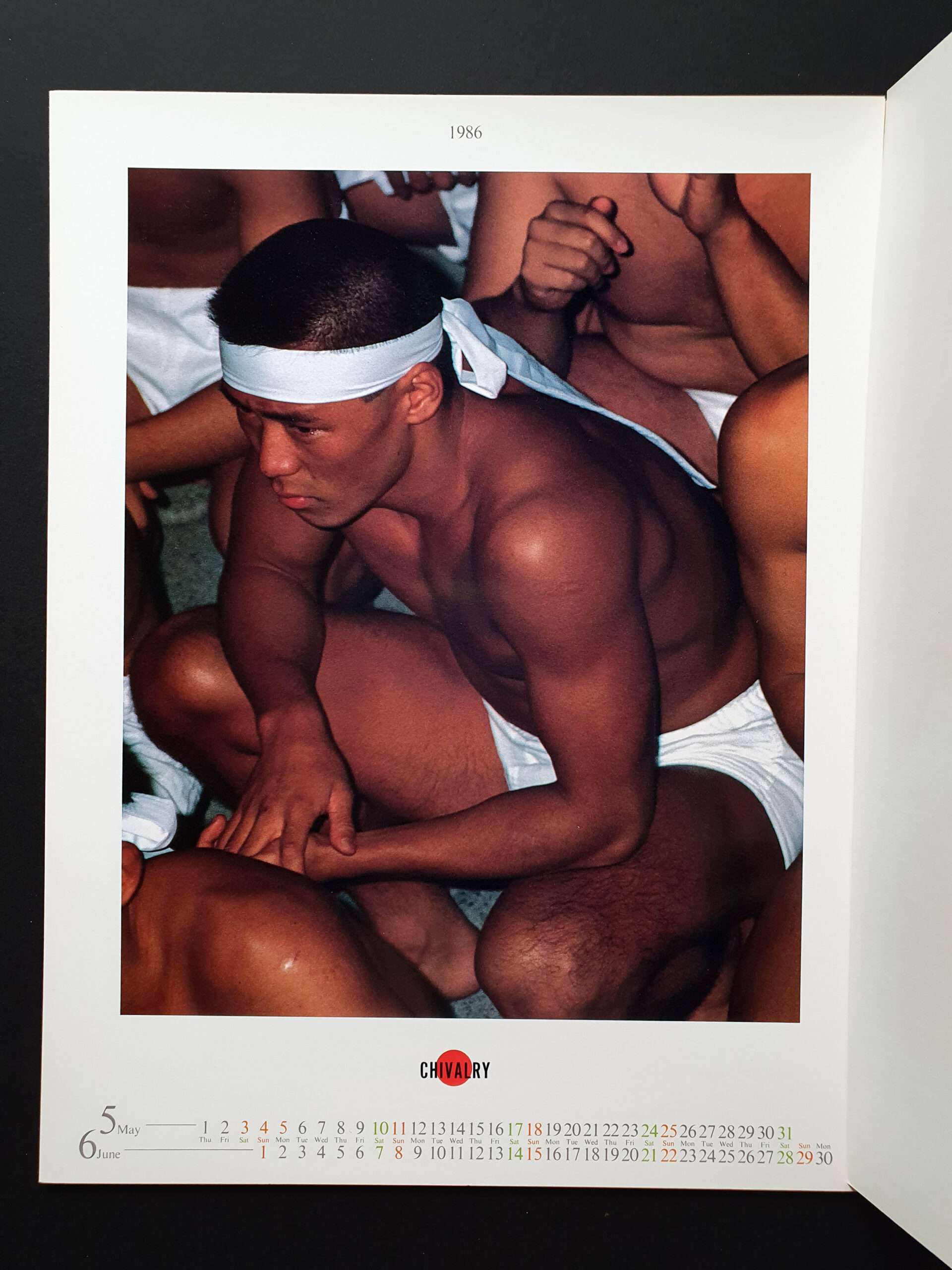 Summer Dolphin - Keiichi Inamine17