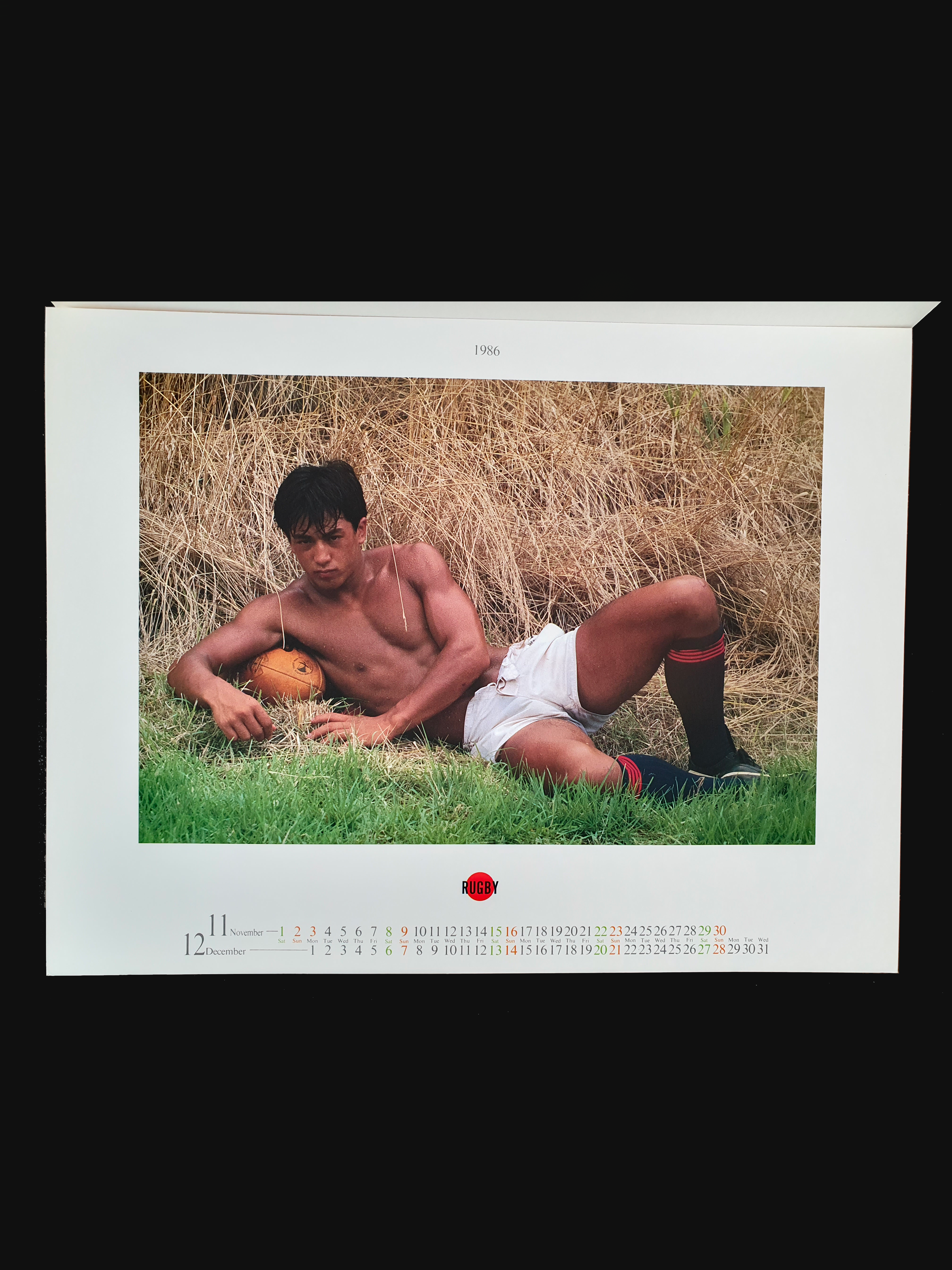 Summer Dolphin - Keiichi Inamine20