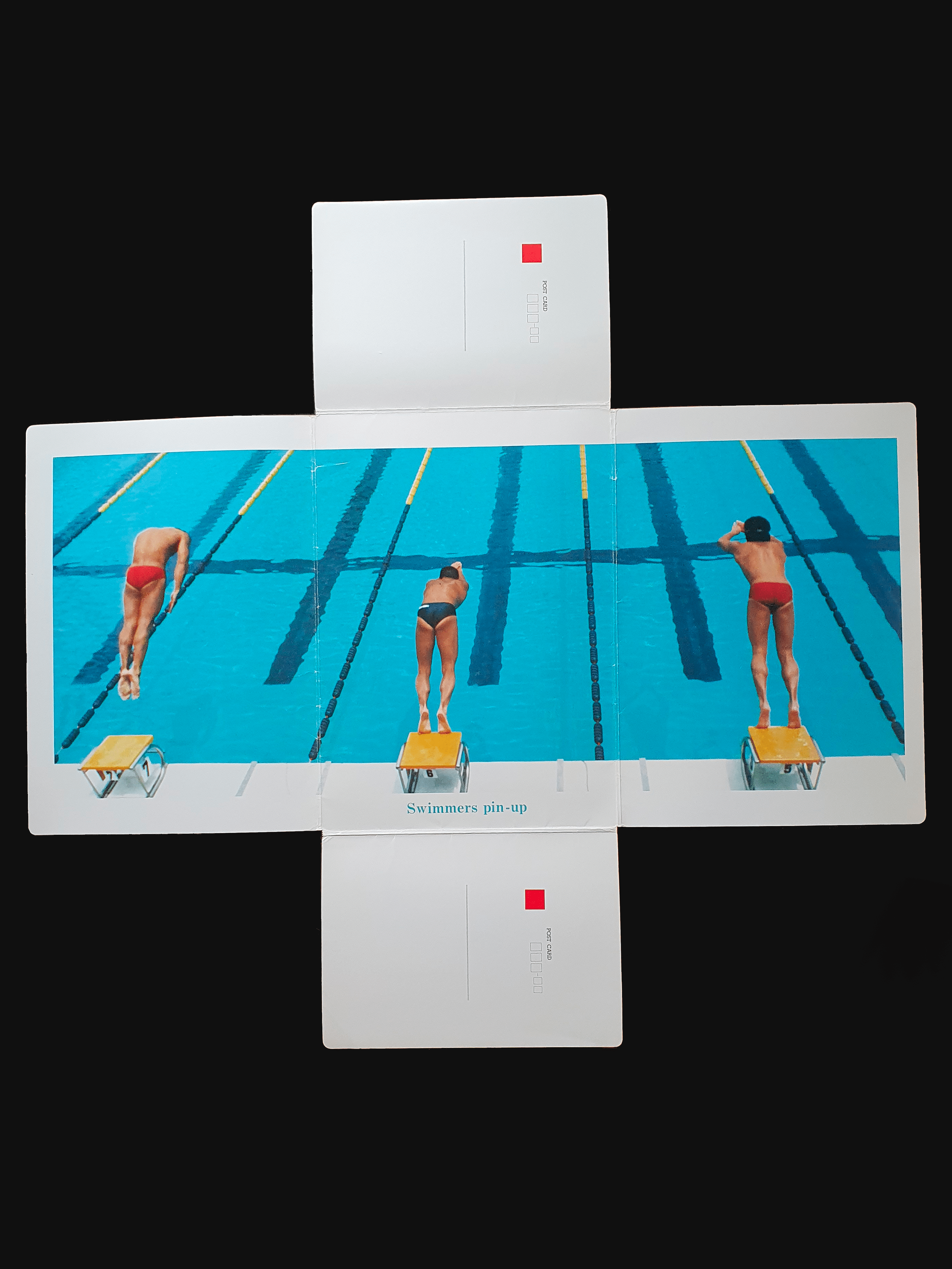 Summer Dolphin - Keiichi Inamine9