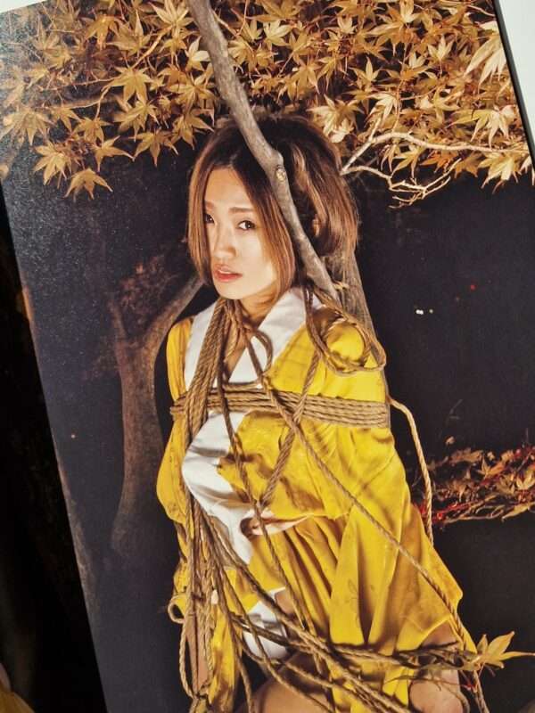 Hanafuda kinbaku Hajime Kinoko white 10