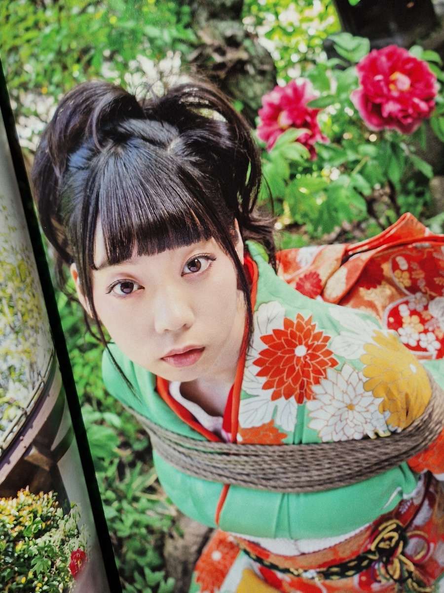 Hanafuda kinbaku Hajime Kinoko white 12 Hanafuda kinbaku Hajime Kinoko white 12